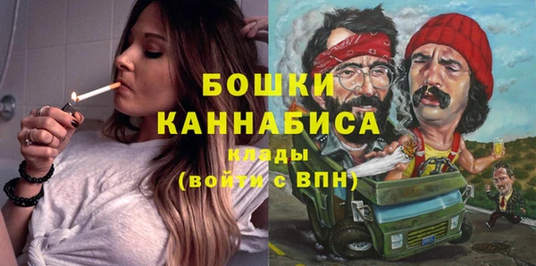 скорость Ладушкин