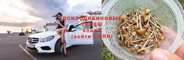 амф Липки
